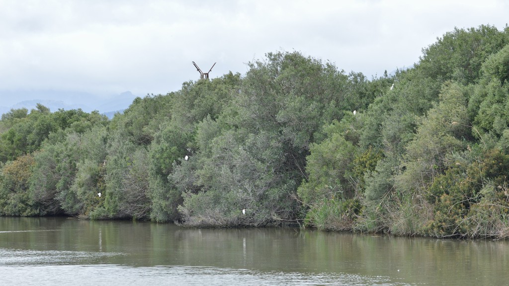 Parc Natural de s’Albufera de Mallorca, Mallorca
