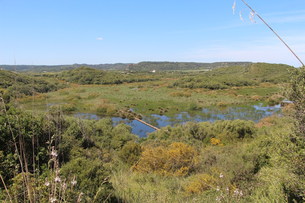 Parc Natural de s’Albufera des Grau, Menorca