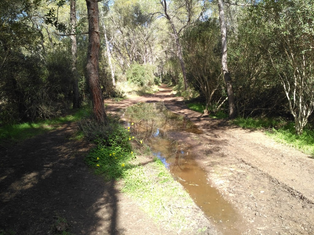 Parc Natural de s’Albufera des Grau, Menorca