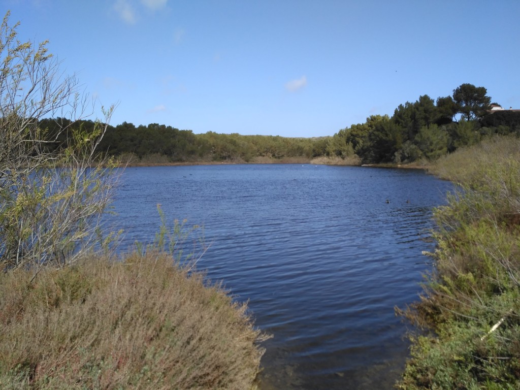 Parc Natural de s’Albufera des Grau, Menorca