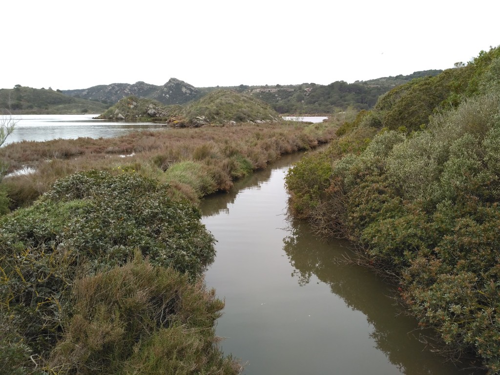 Parc Natural de s’Albufera des Grau, Menorca