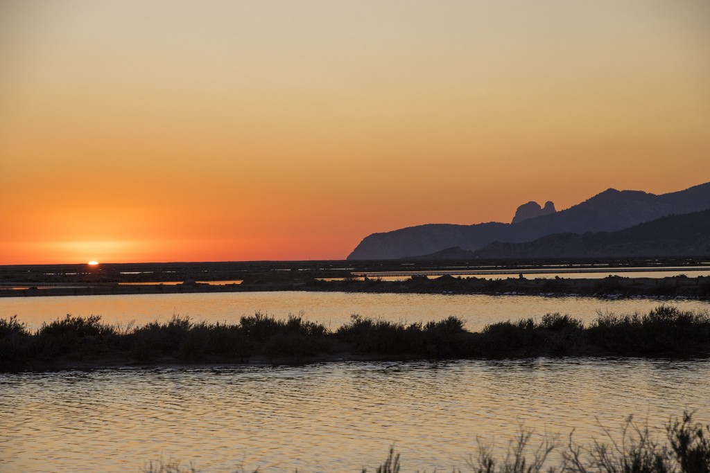 Parc Natural de ses Salines d’Eivissa i Formentera, Ibiza y Formentera