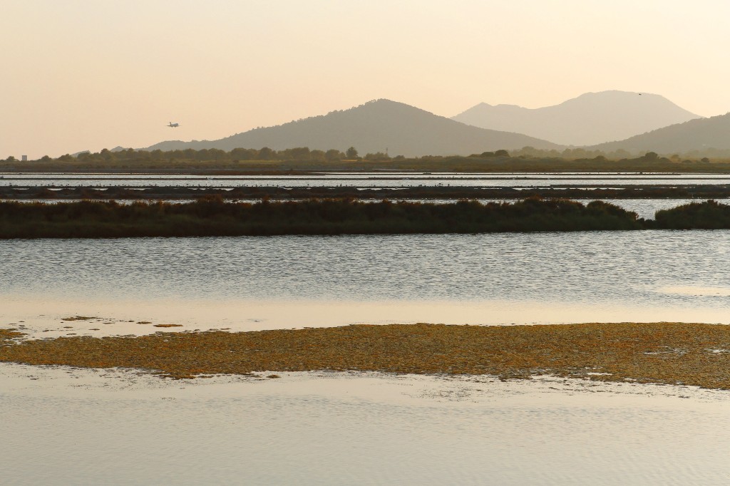 Parc Natural de ses Salines d’Eivissa i Formentera, Ibiza y Formentera