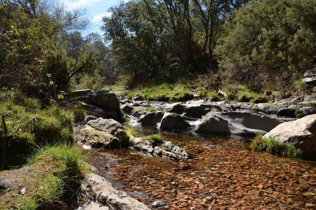 Parque Nacional de Cabañeros, Ciudad Real