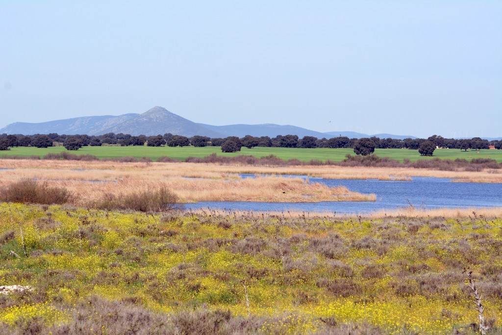 Parque Nacional de las Tablas de Daimiel, Ciudad Real