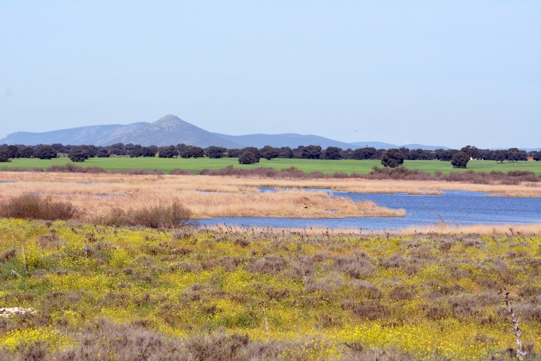 Parque Nacional de las Tablas de Daimiel, Ciudad Real