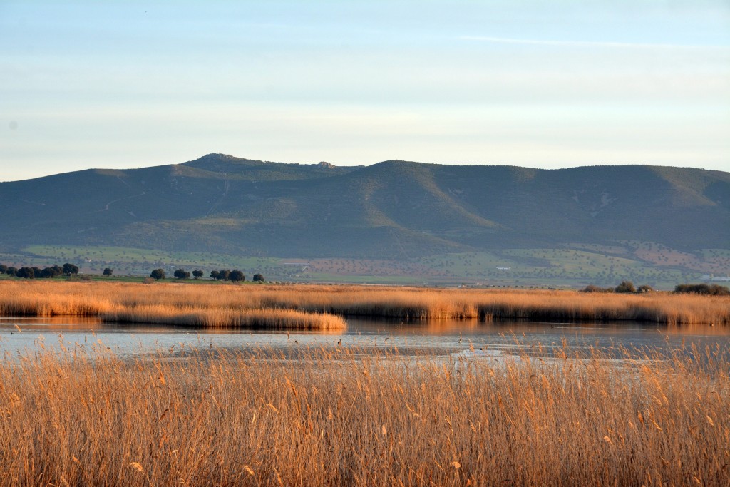 Parque Nacional de las Tablas de Daimiel, Ciudad Real