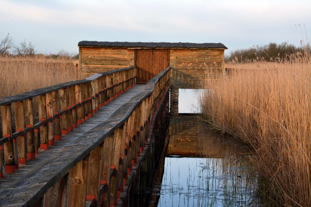 Parque Nacional de las Tablas de Daimiel, Ciudad Real