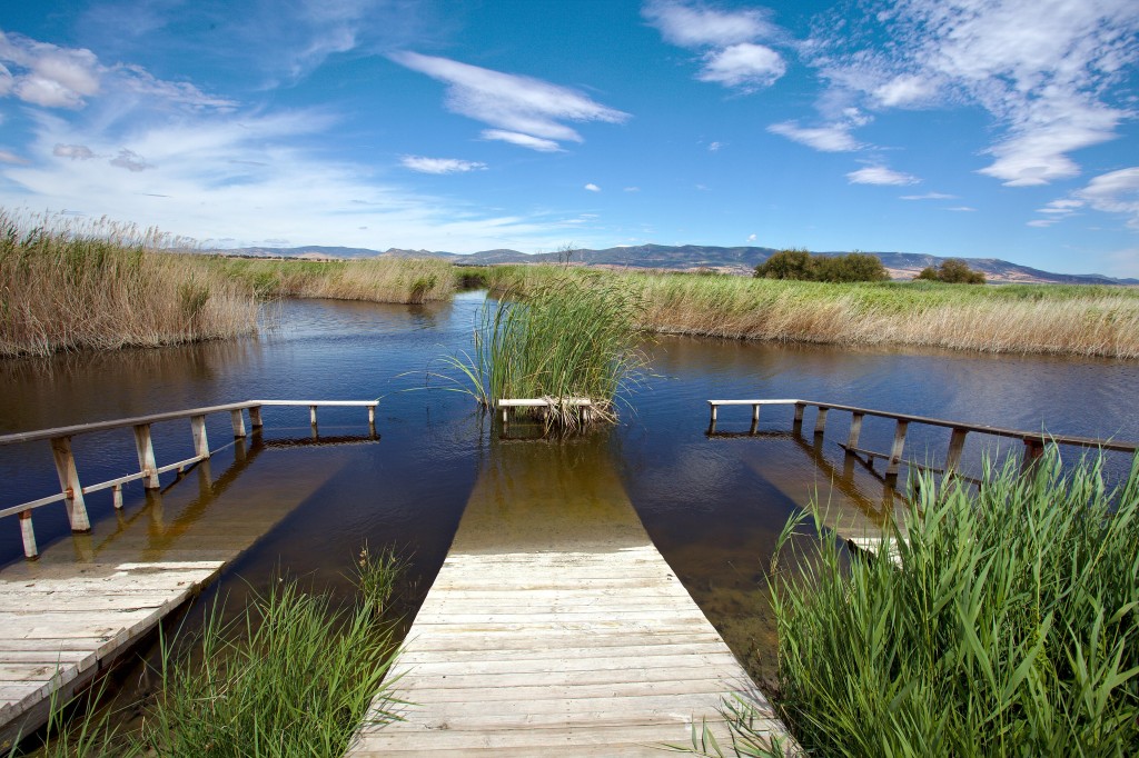 Parque Nacional de las Tablas de Daimiel, Ciudad Real