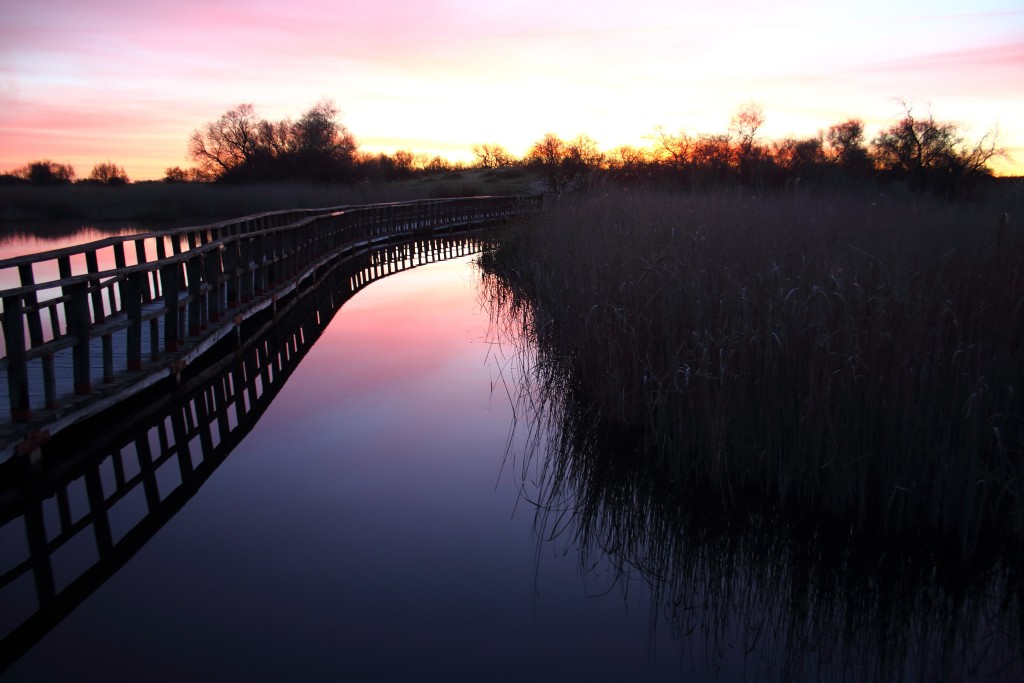 Parque Nacional de las Tablas de Daimiel, Ciudad Real