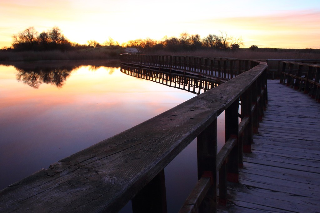 Parque Nacional de las Tablas de Daimiel, Ciudad Real