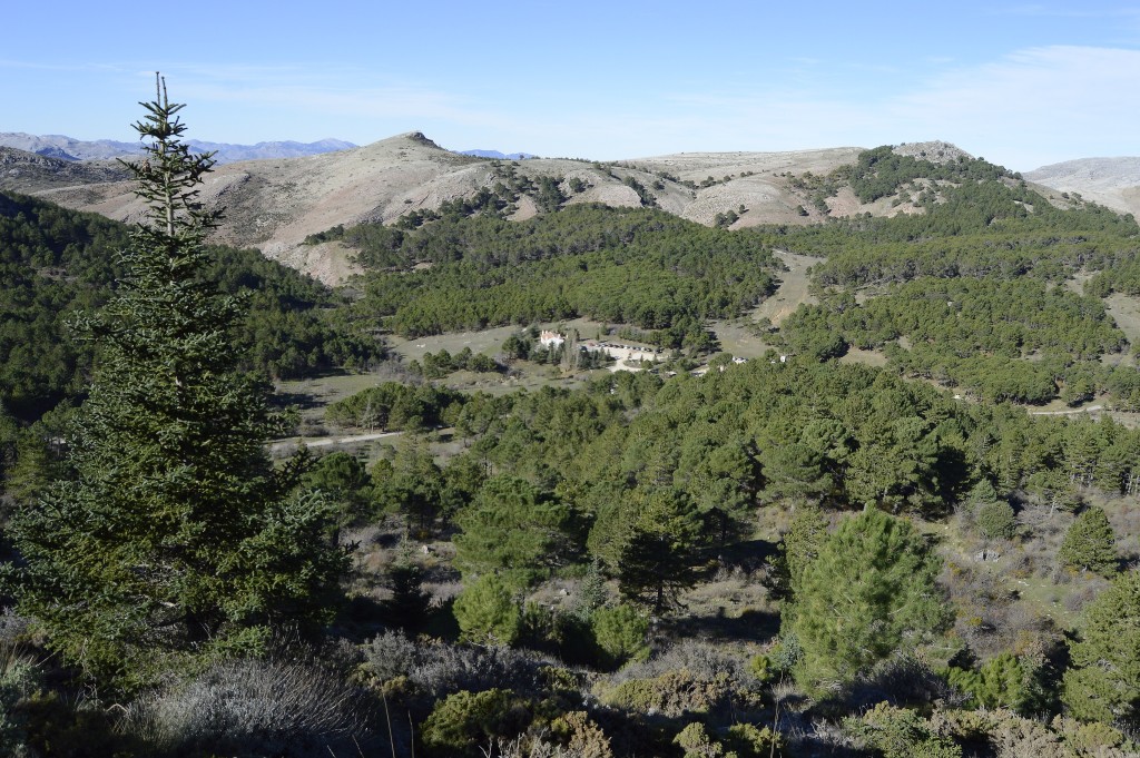 Parque Nacional Sierra de las Nieves, Málaga