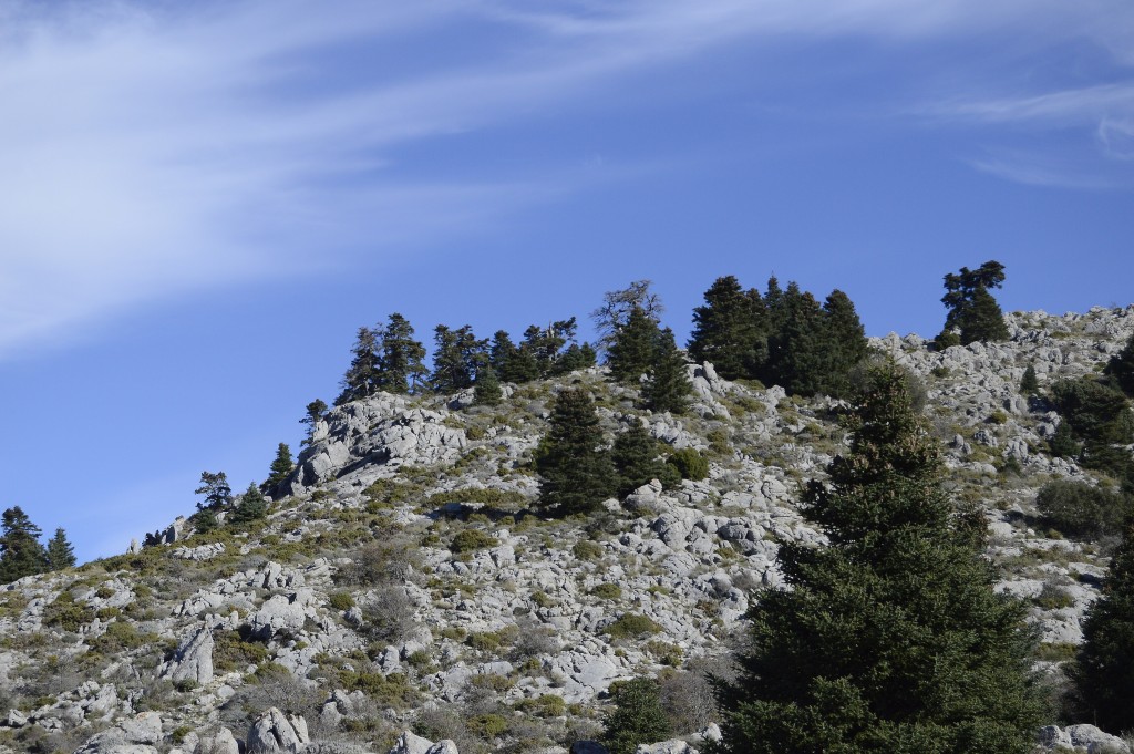 Parque Nacional Sierra de las Nieves, Málaga