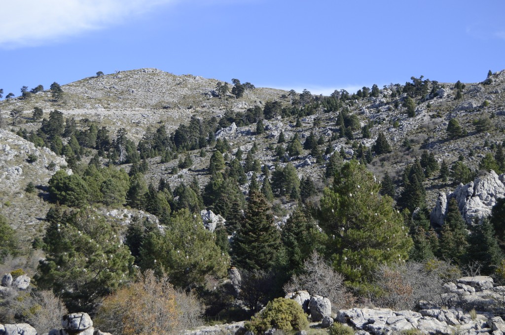 Parque Nacional Sierra de las Nieves, Málaga