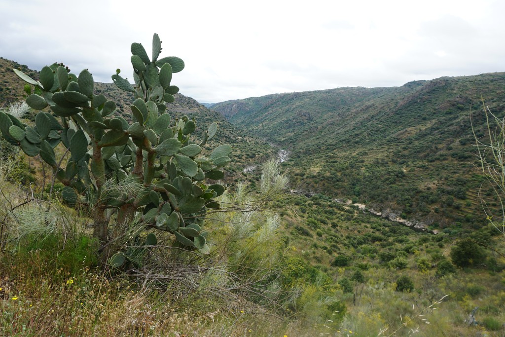 Parque Natural Arribes del Duero, Salamanca-Zamora