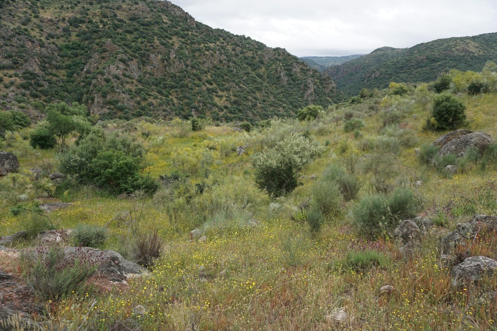 Parque Natural Arribes del Duero, Salamanca-Zamora