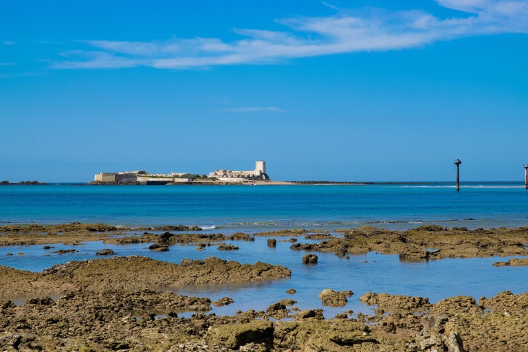 Parque Natural Bahía de Cádiz, Cádiz
