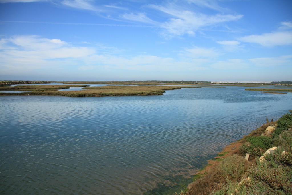 Parque Natural Bahía de Cádiz, Cádiz