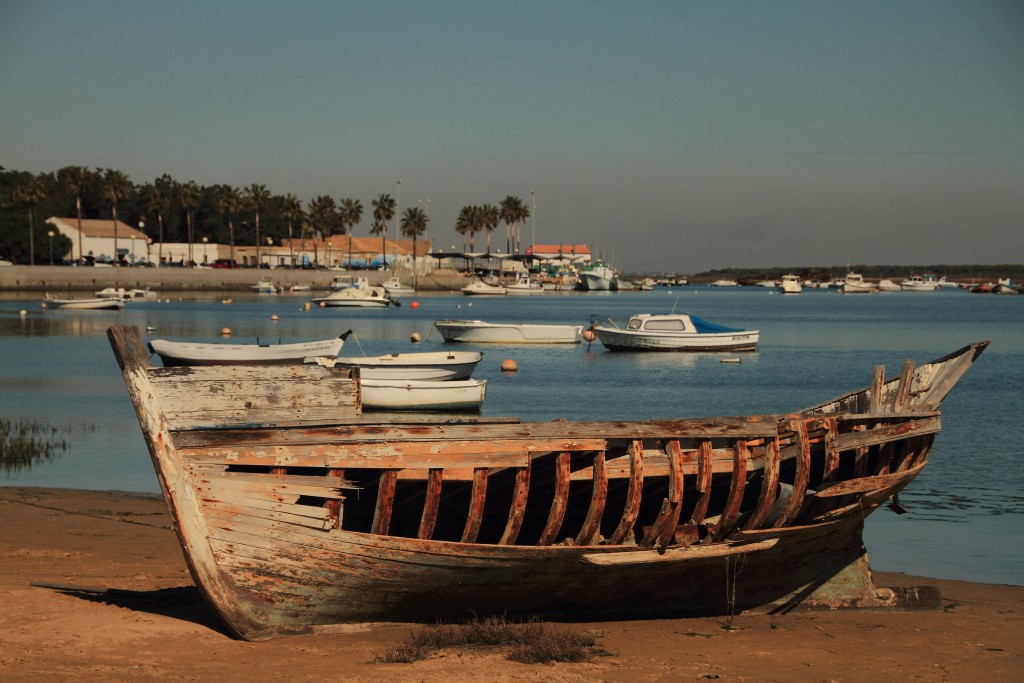 Parque Natural Bahía de Cádiz, Cádiz