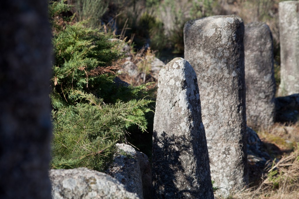 Parque Natural Baixa Limia-Serra do Xurés, Ourense