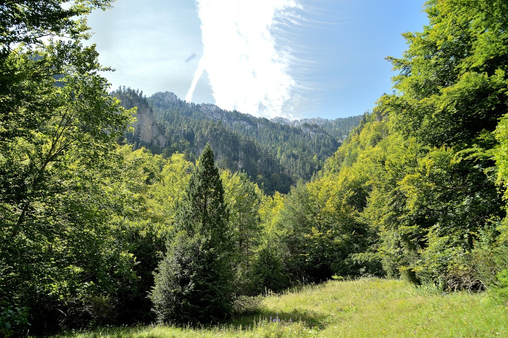 Parque Natural Cadí-Moixeró, Prepirineo catalán