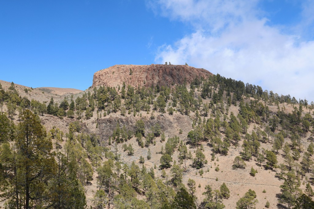 Parque Natural de Corona Forestal, Tenerife