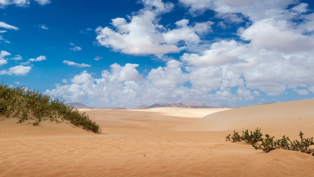 Parque Natural de Corralejo, Fuerteventura