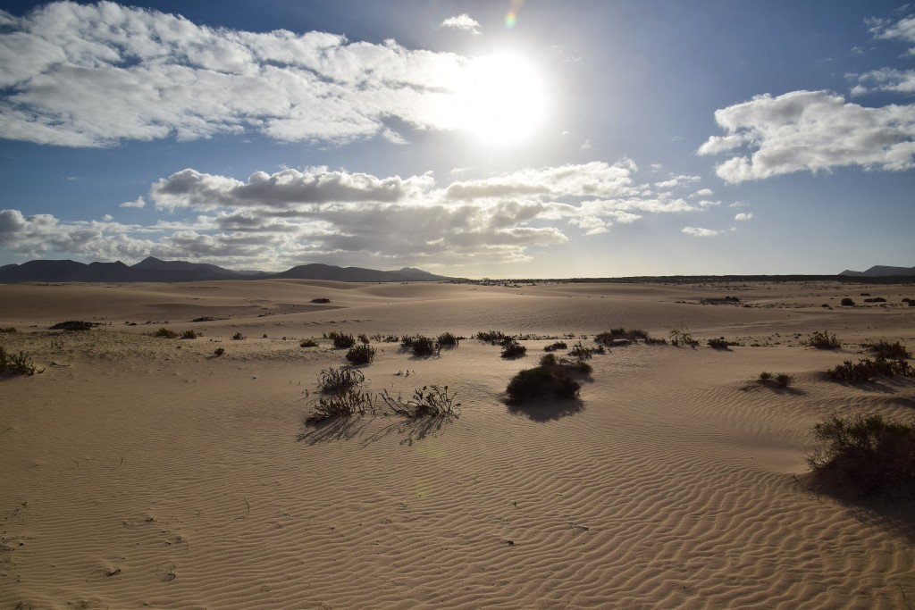 Parque Natural de Corralejo, Fuerteventura
