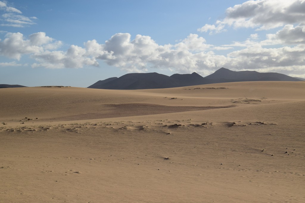 Parque Natural de Corralejo, Fuerteventura