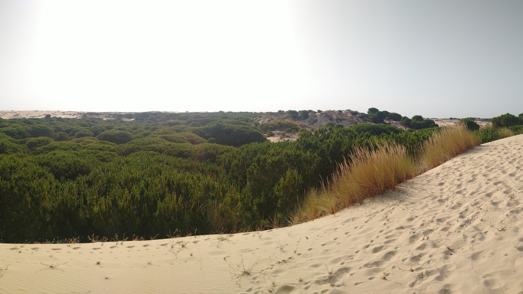 Parque Natural de Doñana, Huelva, Sevilla y Cádiz
