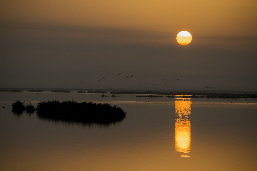 Parque Natural de Doñana, Huelva, Sevilla y Cádiz