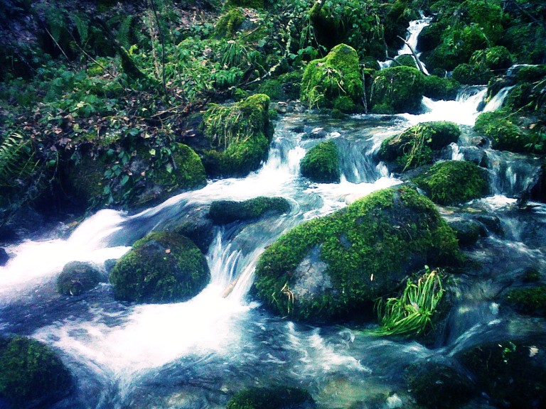 Parque Natural de Fuentes del Narcea, Degaña e Ibias, Asturias