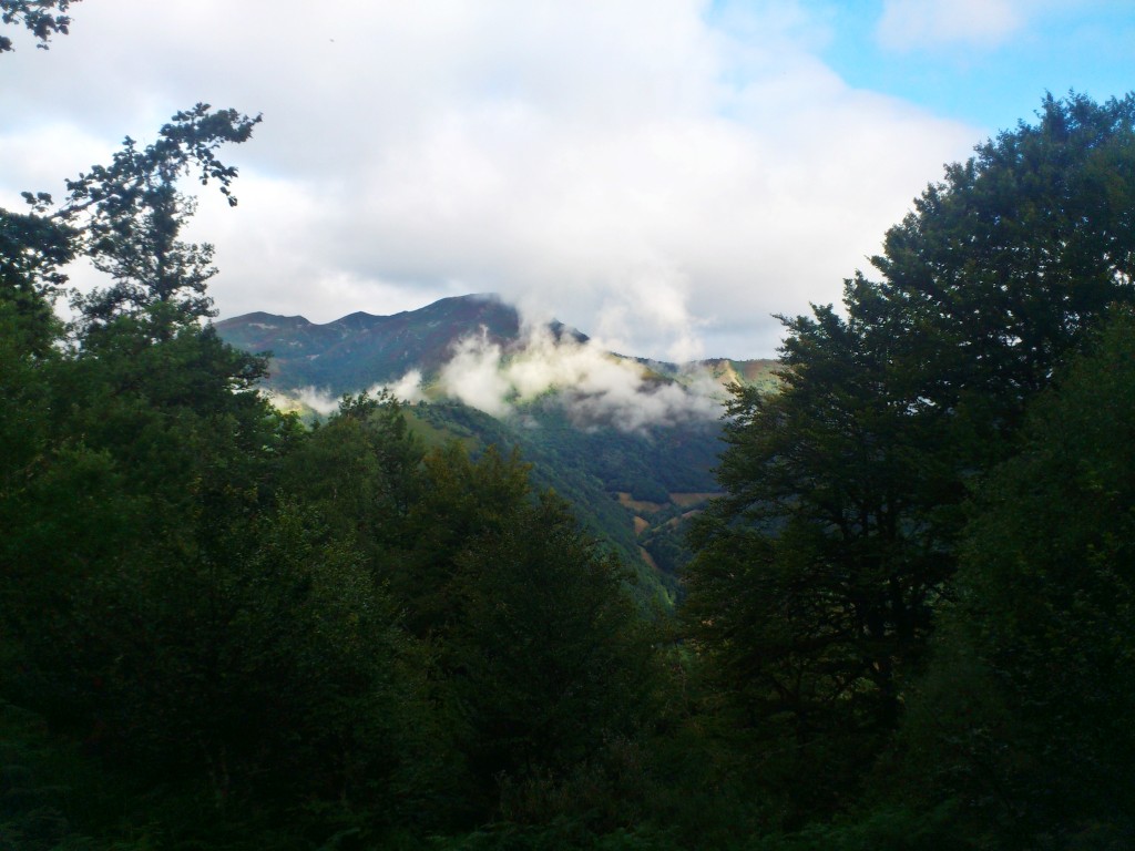 Parque Natural de Fuentes del Narcea, Degaña e Ibias, Asturias