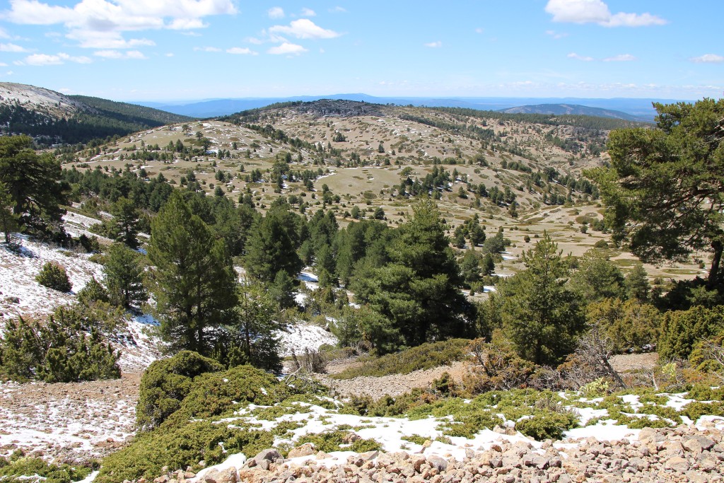 Parque Natural de la Puebla de San Miguel, Valencia
