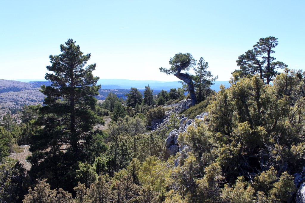 Parque Natural de la Puebla de San Miguel, Valencia