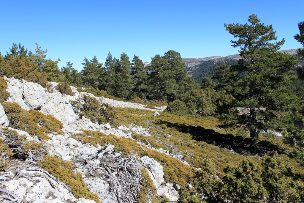 Parque Natural de la Puebla de San Miguel, Valencia