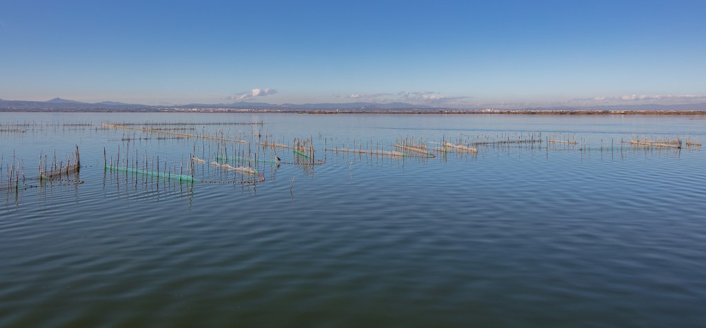 Parque Natural de L’Albufera, Valencia