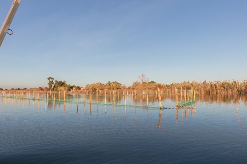 Parque Natural de L’Albufera, Valencia