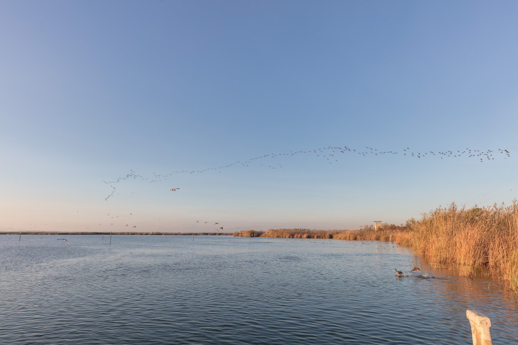 Parque Natural de L’Albufera, Valencia
