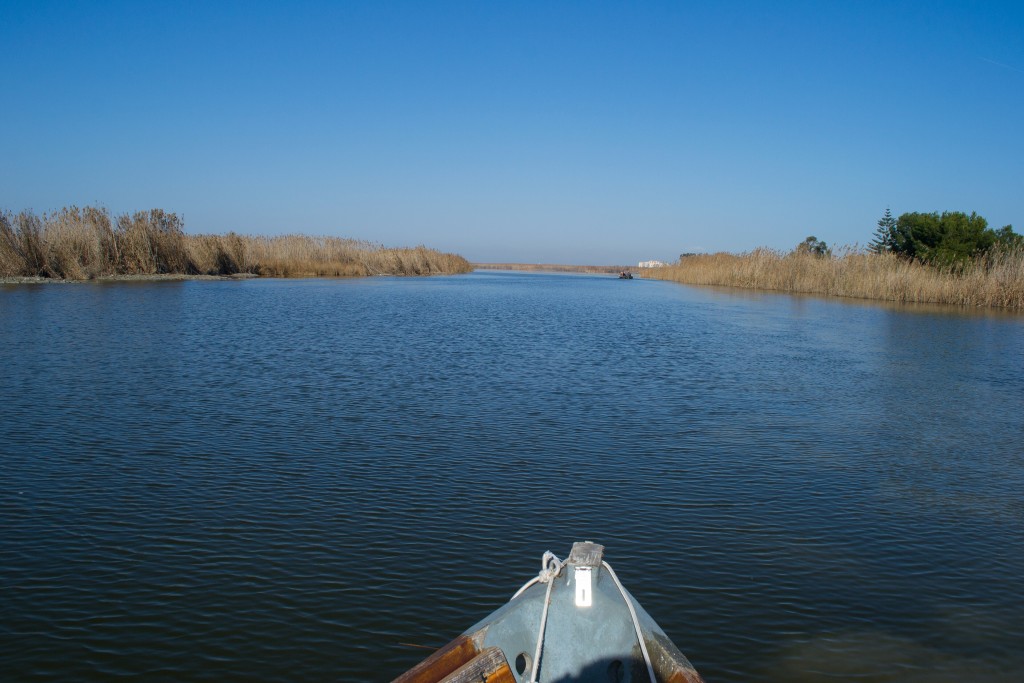 Parque Natural de L’Albufera, Valencia