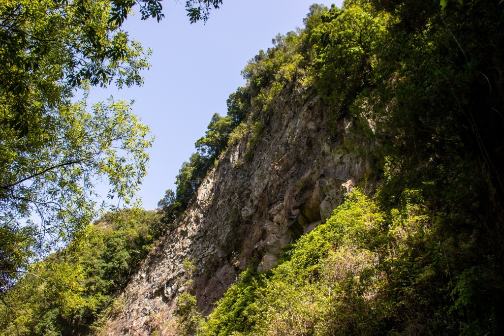 Parque Natural de Las Nieves, La Palma