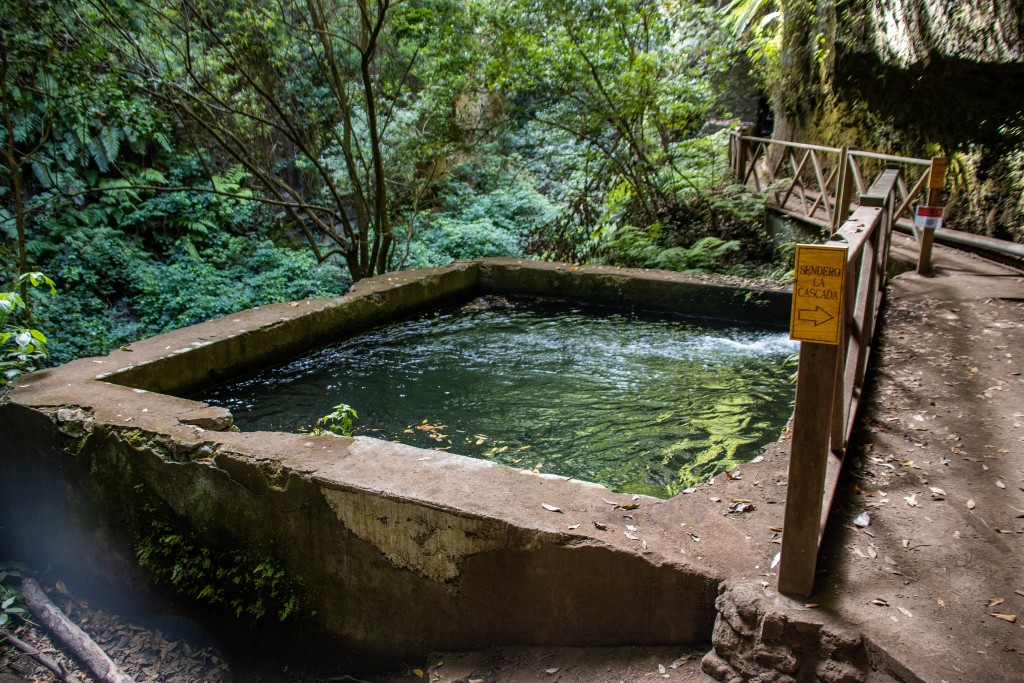 Parque Natural de Las Nieves, La Palma