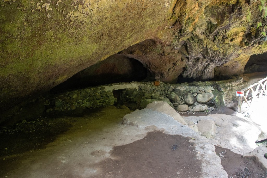 Parque Natural de Las Nieves, La Palma
