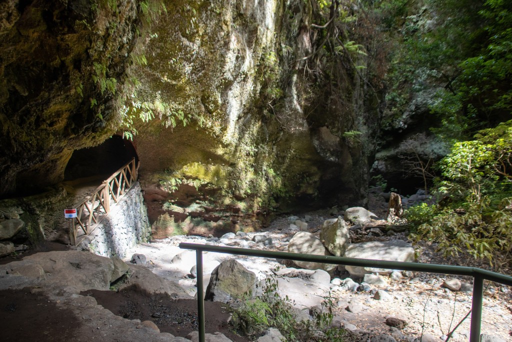 Parque Natural de Las Nieves, La Palma