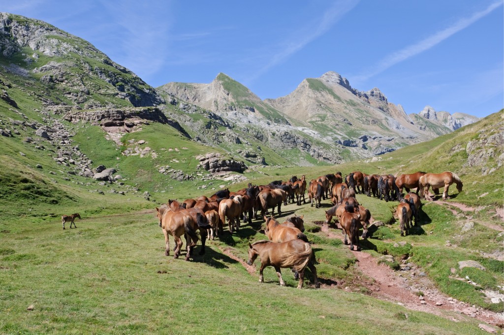 Parque Natural de los Valles Occidentales, Pirineo occidental aragonés