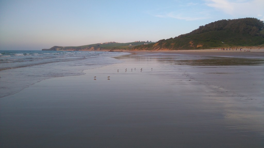 Parque Natural de Oyambre, Cantabria