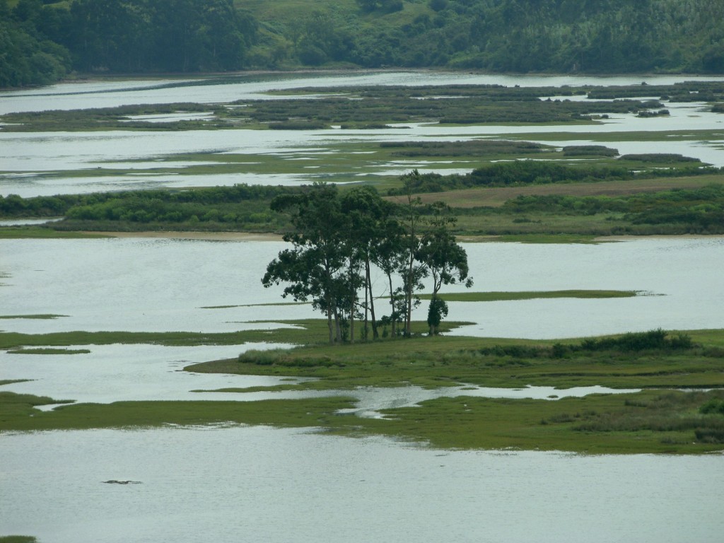 Parque Natural de Oyambre, Cantabria