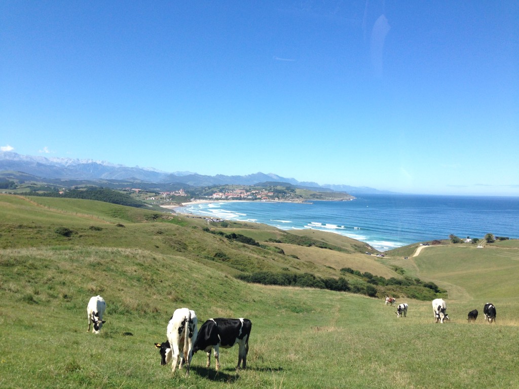 Parque Natural de Oyambre, Cantabria