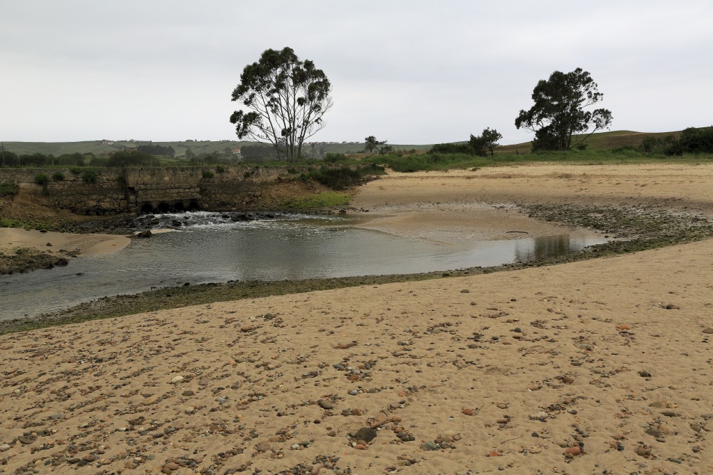 Parque Natural de Oyambre, Cantabria