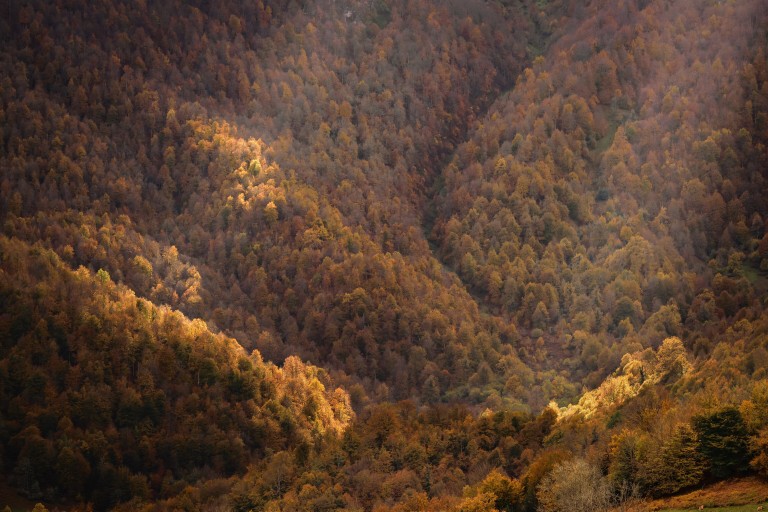 Parque Natural de Ponga, Asturias